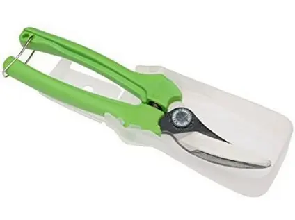 120479_BA-P123-GREEN-B6