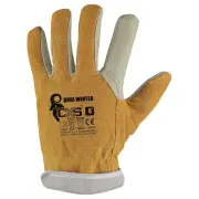 237513-cn-3700-007-000-10